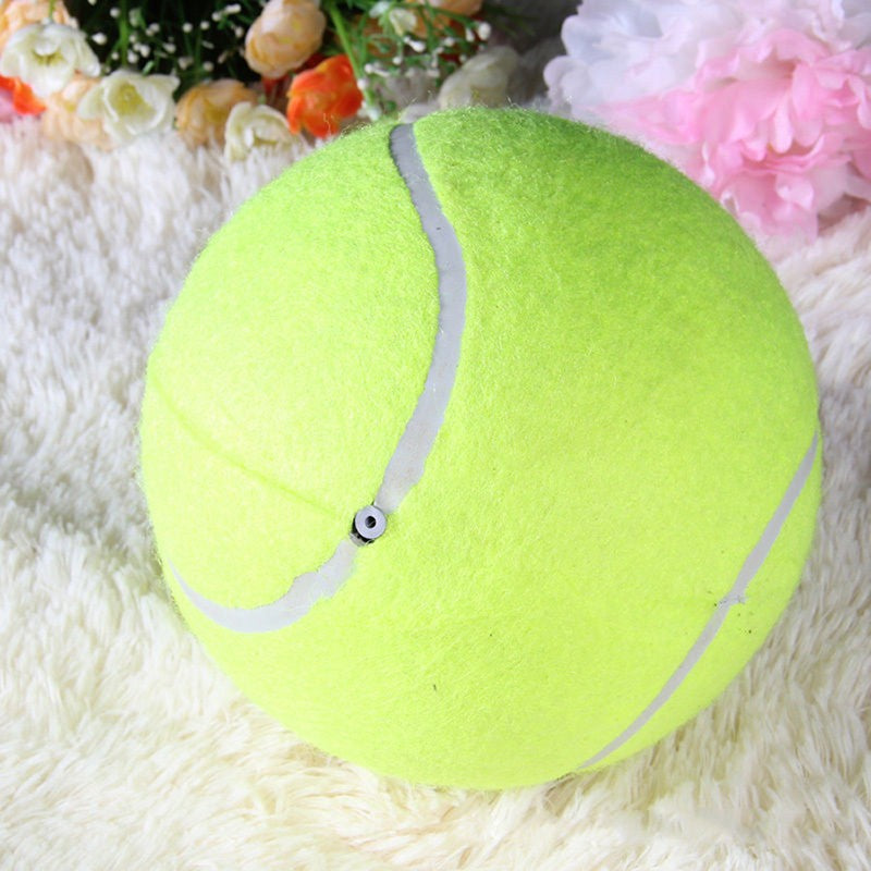 Giant Tennis Ball For Pets